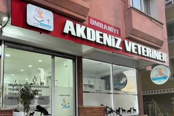 Ümraniye Akdeniz Veteriner Kliniği - Resim 5