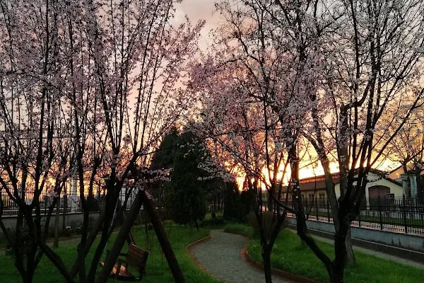 TÜGVA Kocaeli Tarihi Tren Garı - Resim 4
