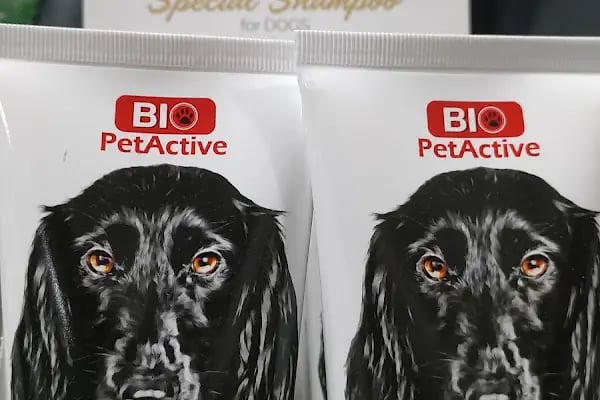 Gölcük Tropikal Akvaryum - Petshop - Resim 5