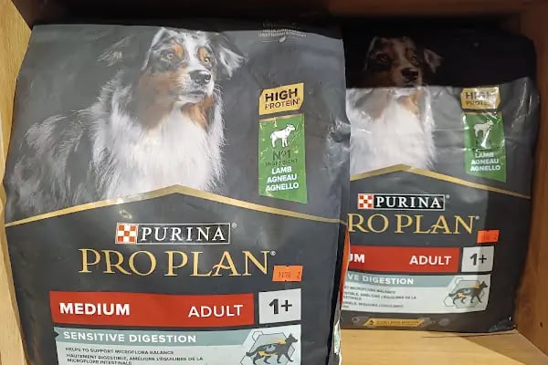 Gölcük Tropikal Akvaryum - Petshop - Resim 11