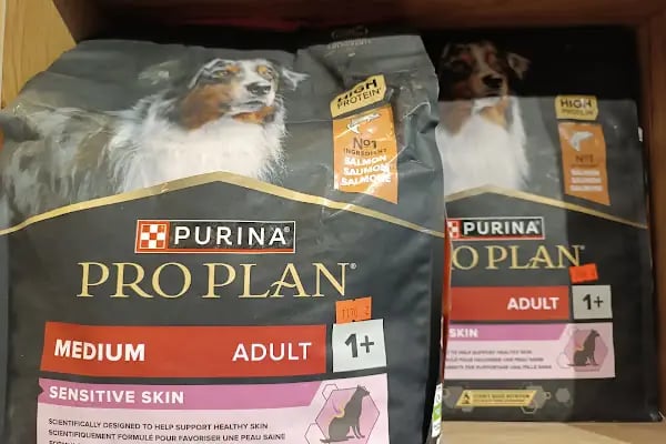 Gölcük Tropikal Akvaryum - Petshop - Resim 16