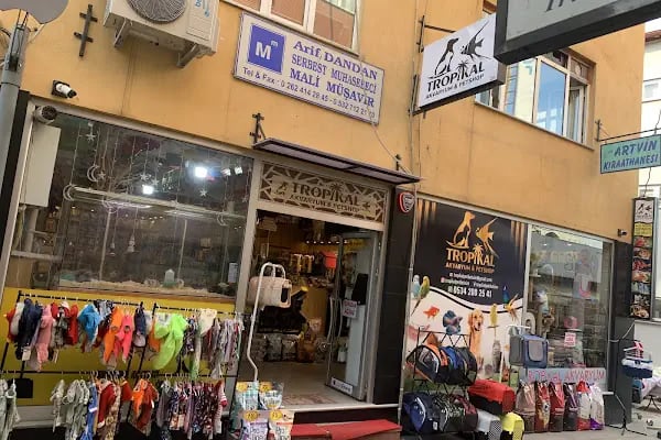 Gölcük Tropikal Akvaryum - Petshop - Resim 2