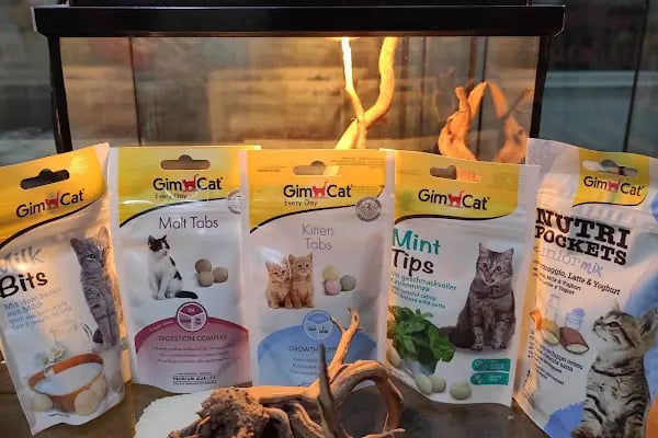 Gölcük Tropikal Akvaryum - Petshop - Resim 3