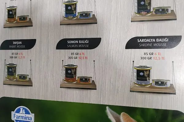 Gölcük Tropikal Akvaryum - Petshop - Resim 6