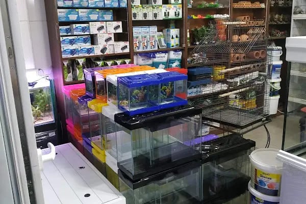 Gölcük Tropikal Akvaryum - Petshop - Resim 9