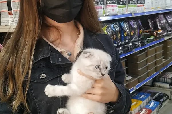 Gölcük Tropikal Akvaryum - Petshop - Resim 4