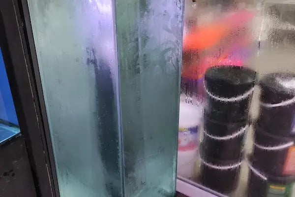 Gölcük Tropikal Akvaryum - Petshop - Resim 8