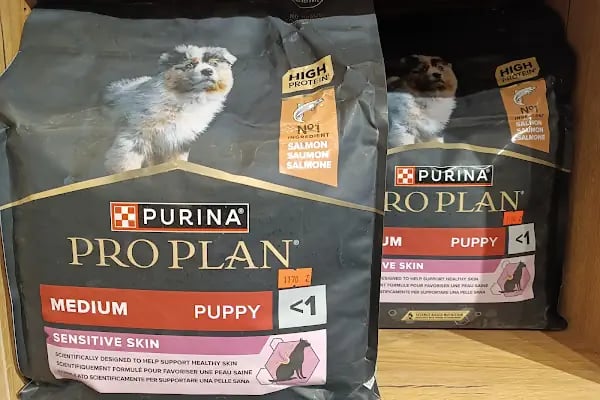Gölcük Tropikal Akvaryum - Petshop - Resim 14