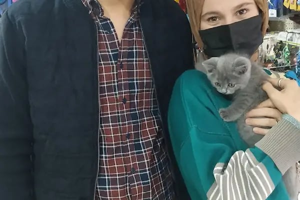 Gölcük Tropikal Akvaryum - Petshop - Resim 10