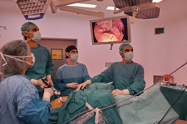 Doç.Dr.Derman Başaran | Kadın Hastalıkları | Jinekolojik Onkoloji | Robotik, Laparoskopik Cerrahi | Rahim, Miyom ve Yumurtalık Ameliyatları | HIPEC, HPV ve Kolposkopi | Ankara - Resim 10