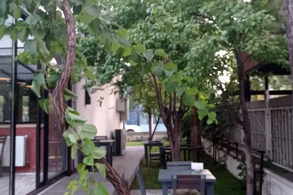 Romekan cafe - Resim 6