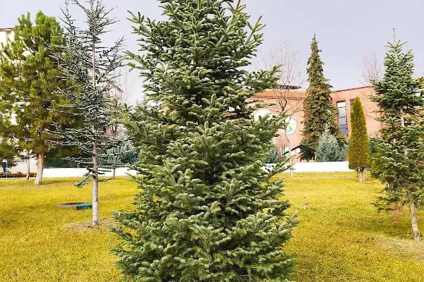 Millî Egemenlik Parkı - Resim 6