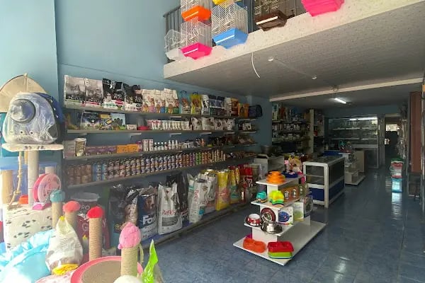 Bahtiyar Akvaryum - Petshop - Resim 2