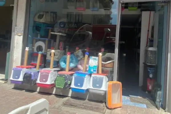 Bahtiyar Akvaryum - Petshop - Resim 1