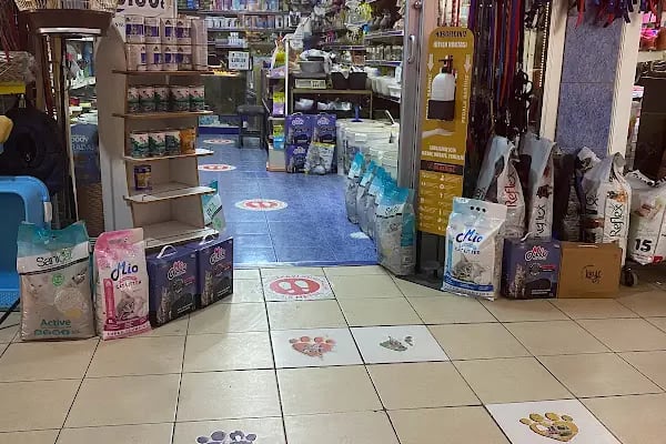 Bahtiyar Akvaryum - Petshop - Resim 17