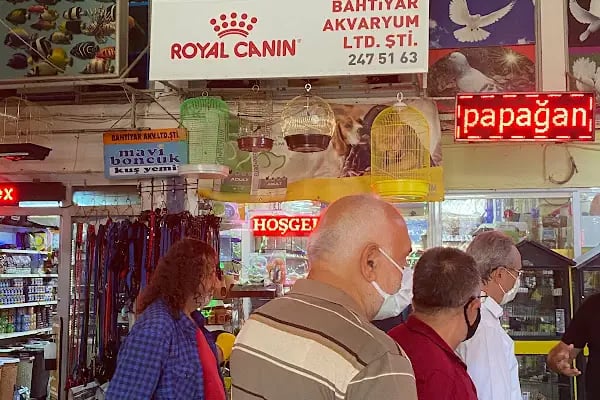 Bahtiyar Akvaryum - Petshop - Resim 18