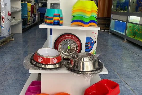 Bahtiyar Akvaryum - Petshop - Resim 19