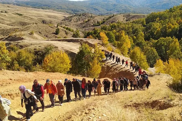 DİDOSK - Resim 17