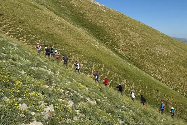 DİDOSK - Resim 10