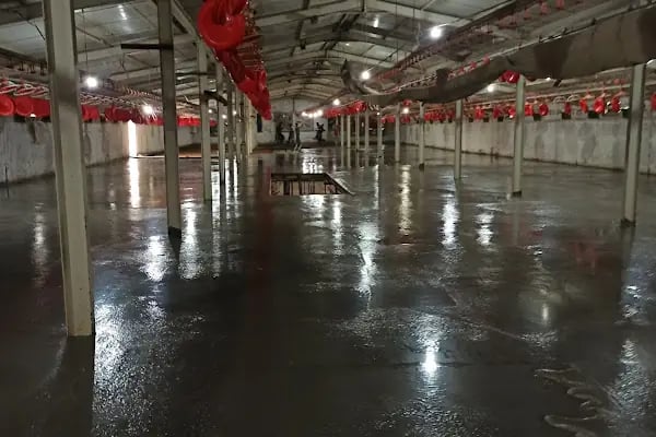 KANDIRA GIDA İHTİSAS ORGANİZE SANAYİ BÖLGESİ - Resim 20