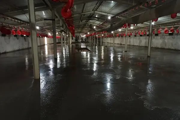 KANDIRA GIDA İHTİSAS ORGANİZE SANAYİ BÖLGESİ - Resim 5