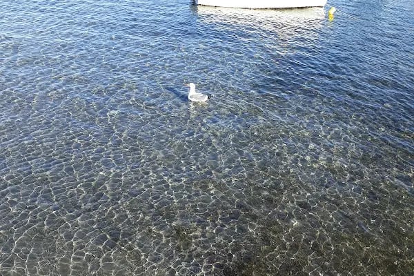 Foça Yalı Hotel - Resim 7