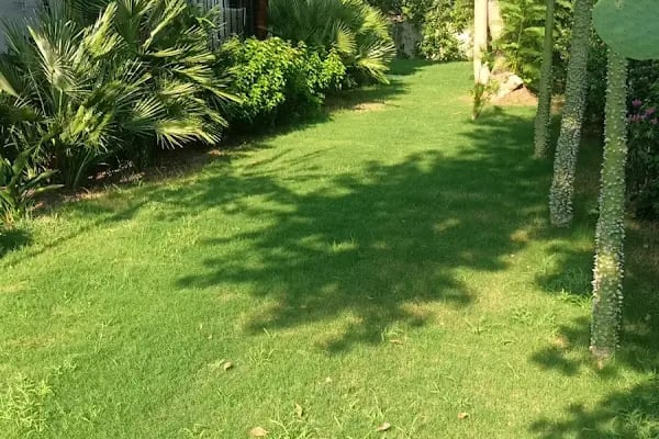 West House Exclusive Hotel Göcek - Resim 18