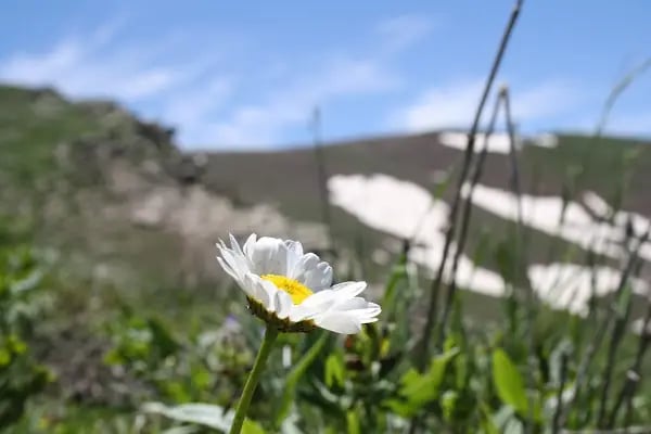 Haserek Kayak Merkezi Bingöl - Resim 17