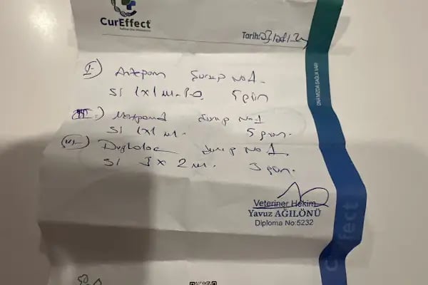 YEŞİLTEPE VETERİNER KLİNİĞİ (CEVİZLİBAĞ VETERİNER KLİNİĞİ) - Resim 13