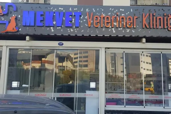 Mekvet veteriner klinigi - Resim 2