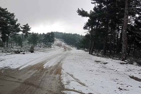 Bozdağ Milli Parkı - Resim 11