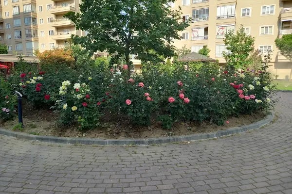Bakgör Yaşam Evleri 1 - Resim 8