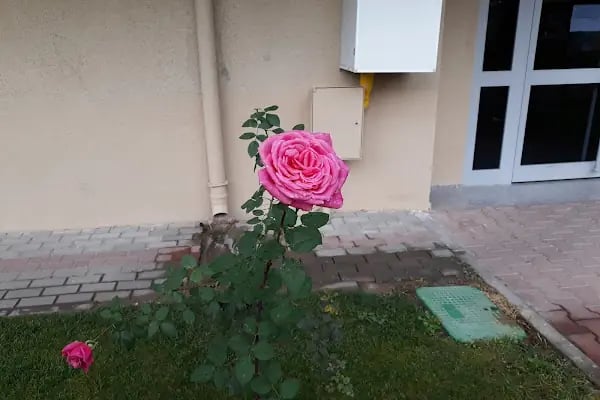 Bakgör Yaşam Evleri 1 - Resim 11
