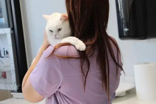 Akın Veteriner Polikliniği - Resim 6