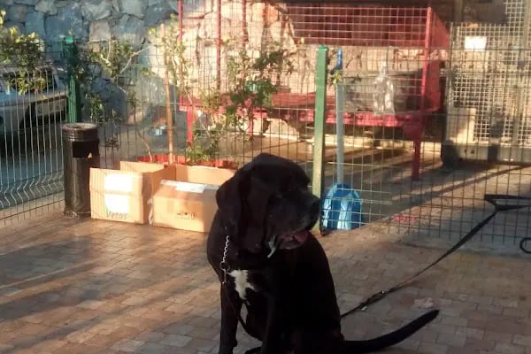Akın Veteriner Polikliniği - Resim 16