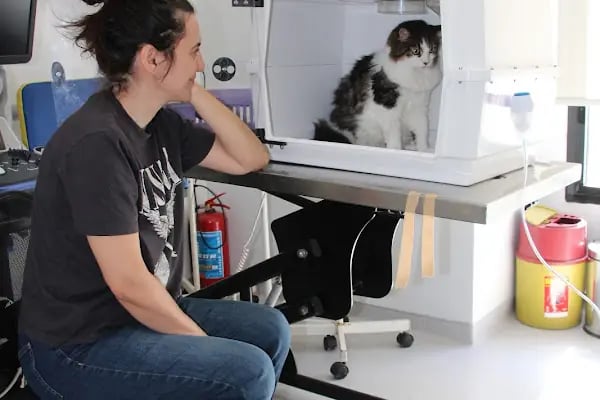 Akın Veteriner Polikliniği - Resim 13