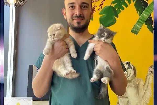 Alp Veteriner Kliniği - Resim 17