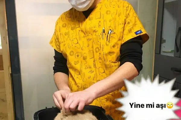 Alp Veteriner Kliniği - Resim 20