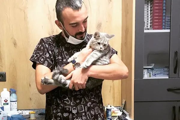 Alp Veteriner Kliniği - Resim 15
