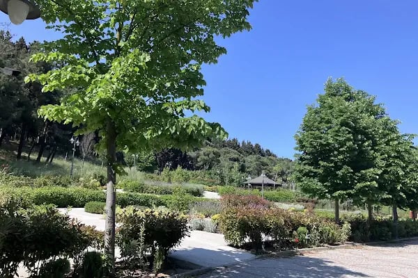 Halkalı Millet Bahçesi - Resim 14