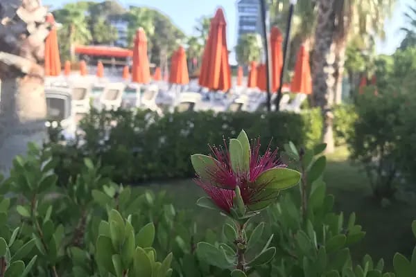Trendy Lara Aqua Park - Resim 11