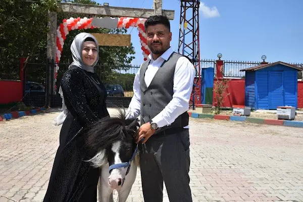Hanımın çiftliği - Resim 3
