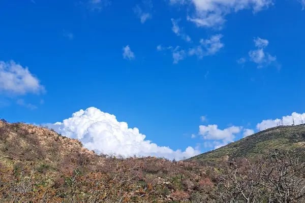 Leleg Yolu - Resim 8