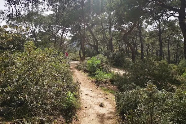Leleg Yolu - Resim 20