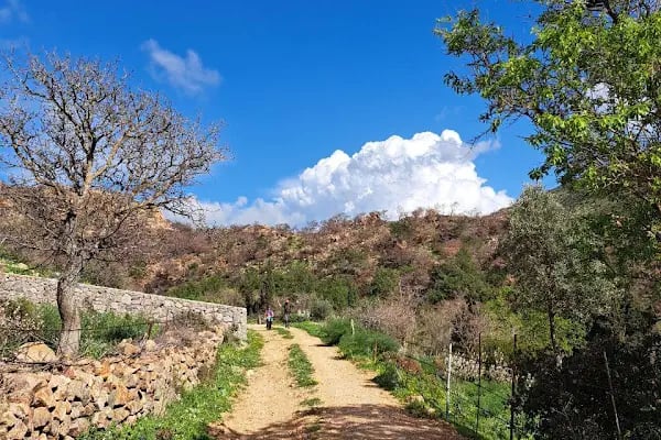 Leleg Yolu - Resim 9
