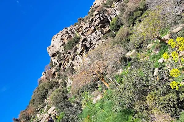 Leleg Yolu - Resim 15