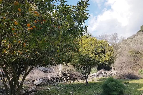 Leleg Yolu - Resim 13