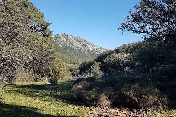 Leleg Yolu - Resim 2