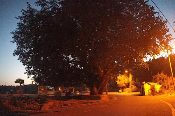Leleg Yolu - Resim 4