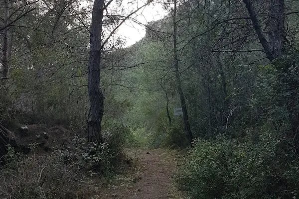 Leleg Yolu - Resim 11